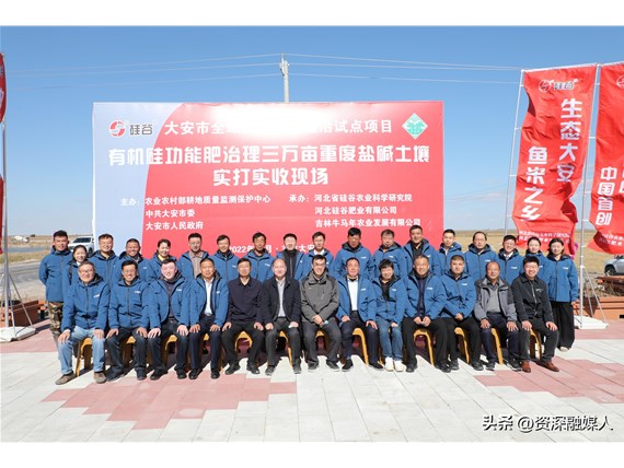 有機(jī)硅功能肥：2千萬(wàn)平方米鹽堿地變“新糧倉(cāng)”